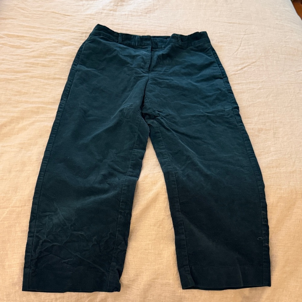 Banana Republic Women's Dark Teal Cropped Pants